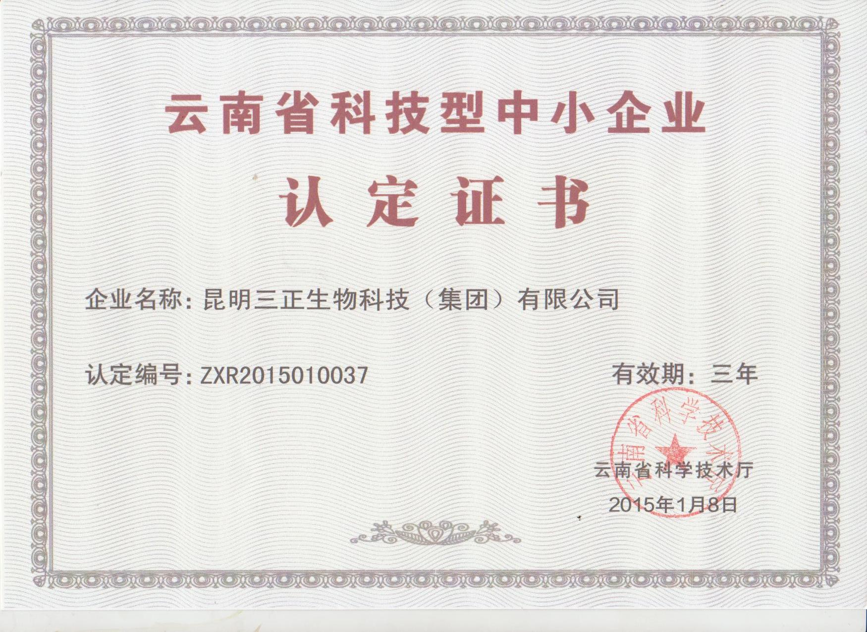 科技型中小企业认定证书