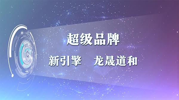 公司介绍2