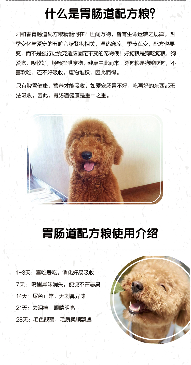 7巨贵成犬红棕咖_06