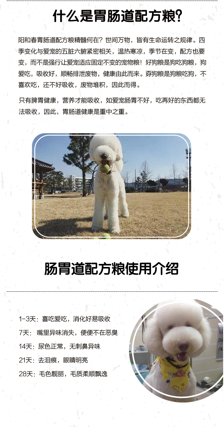 巨贵成犬黑白灰_06