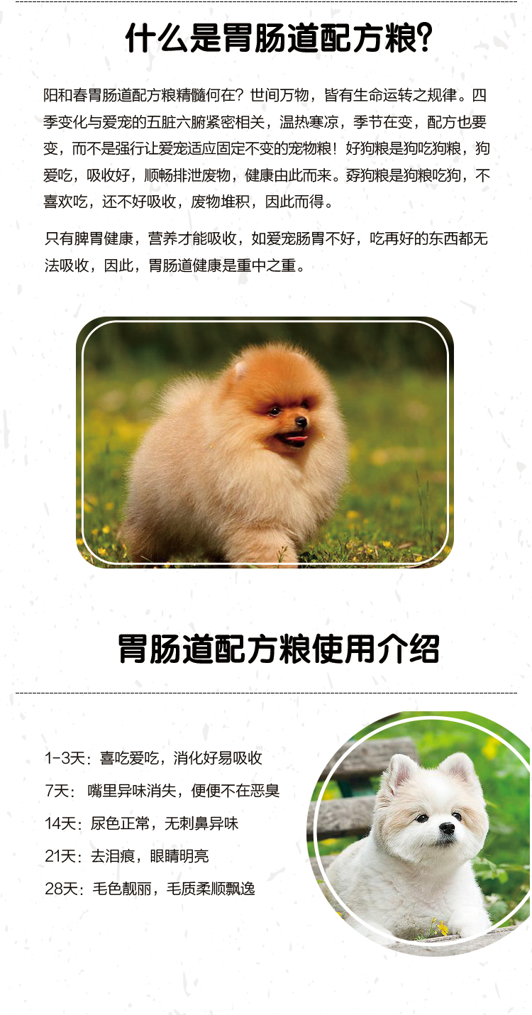 博美成犬粮_06