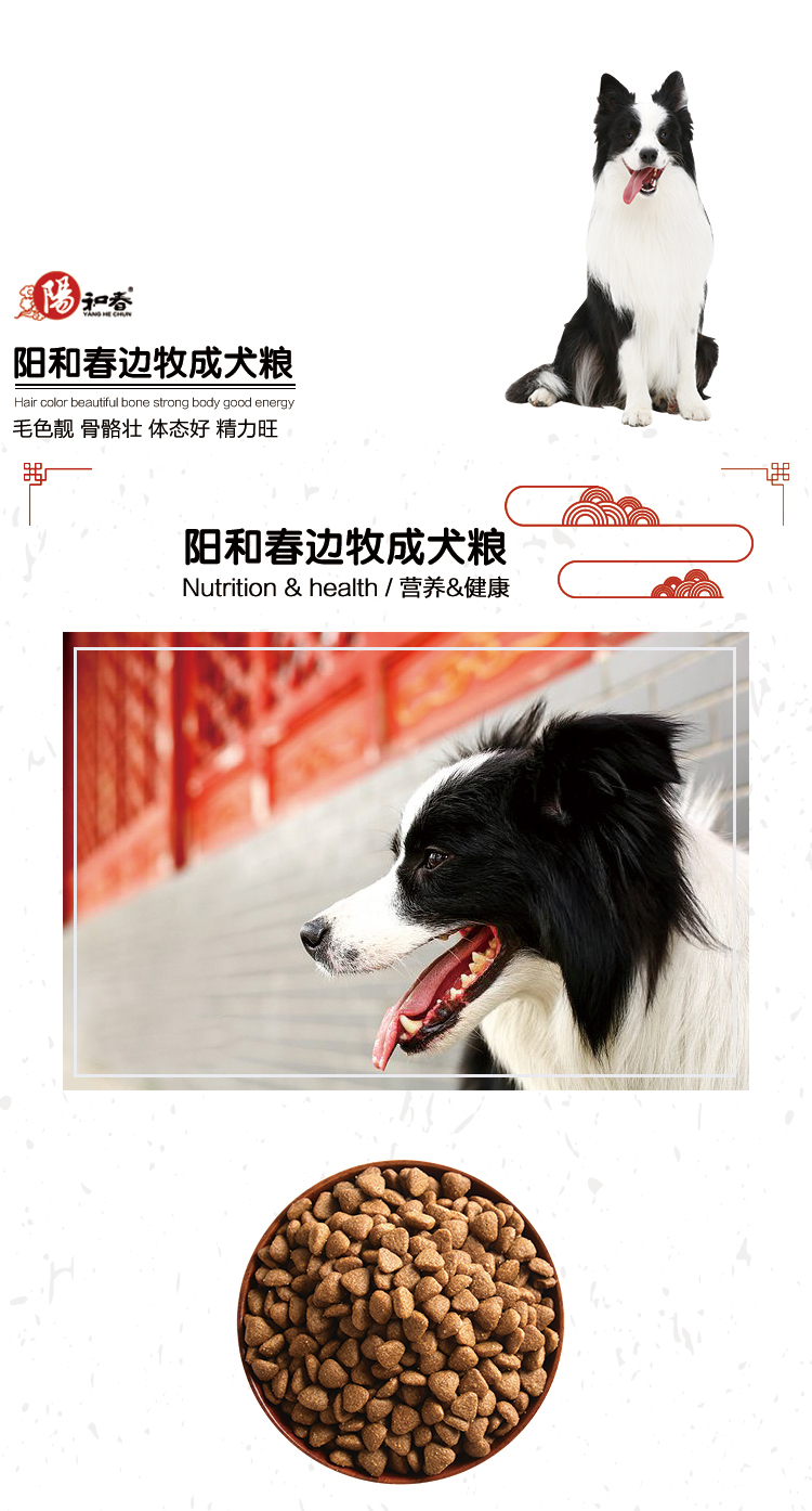 边牧成犬粮_01