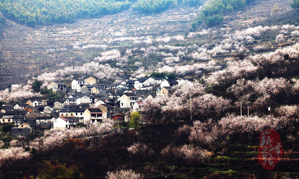 覆卮山巅峰10