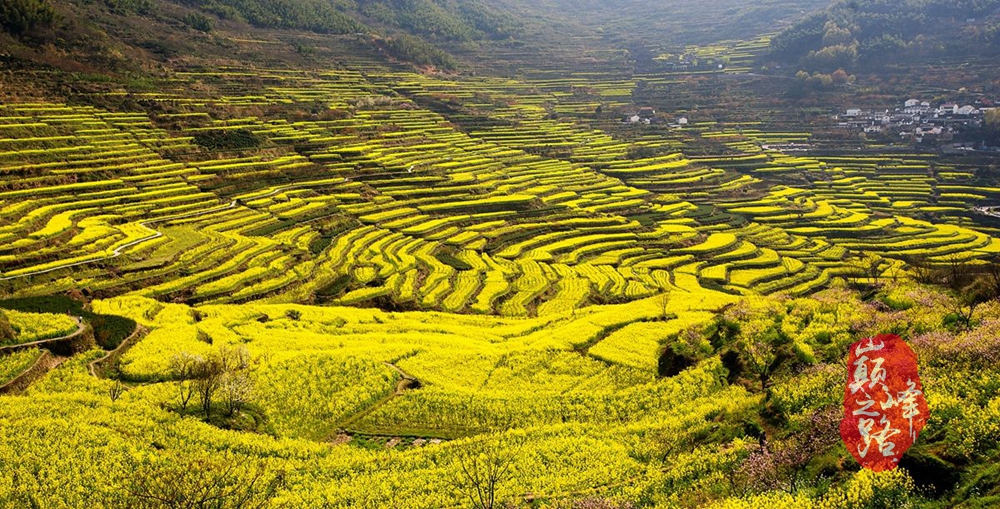 覆卮山巅峰之路2