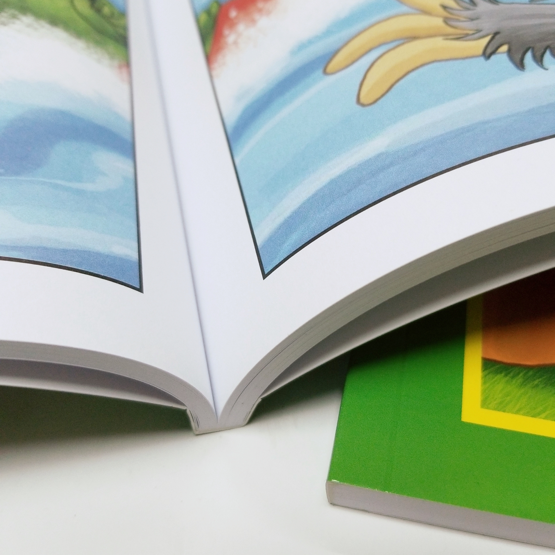 The standard choice for most softcover books. This flexible, glued binding will stand the test of time.