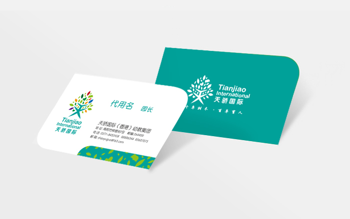 天骄国际VI-6