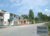 羅定市-金雞鎮