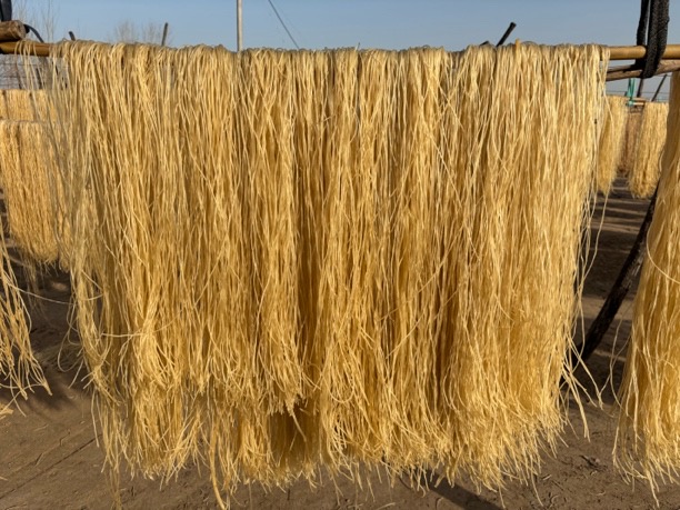 微信图片_20251130143737_23_1443