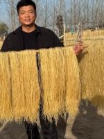 微信图片_20251130143744_26_1443