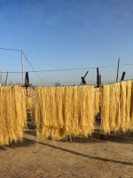 微信图片_20251130143747_27_1443