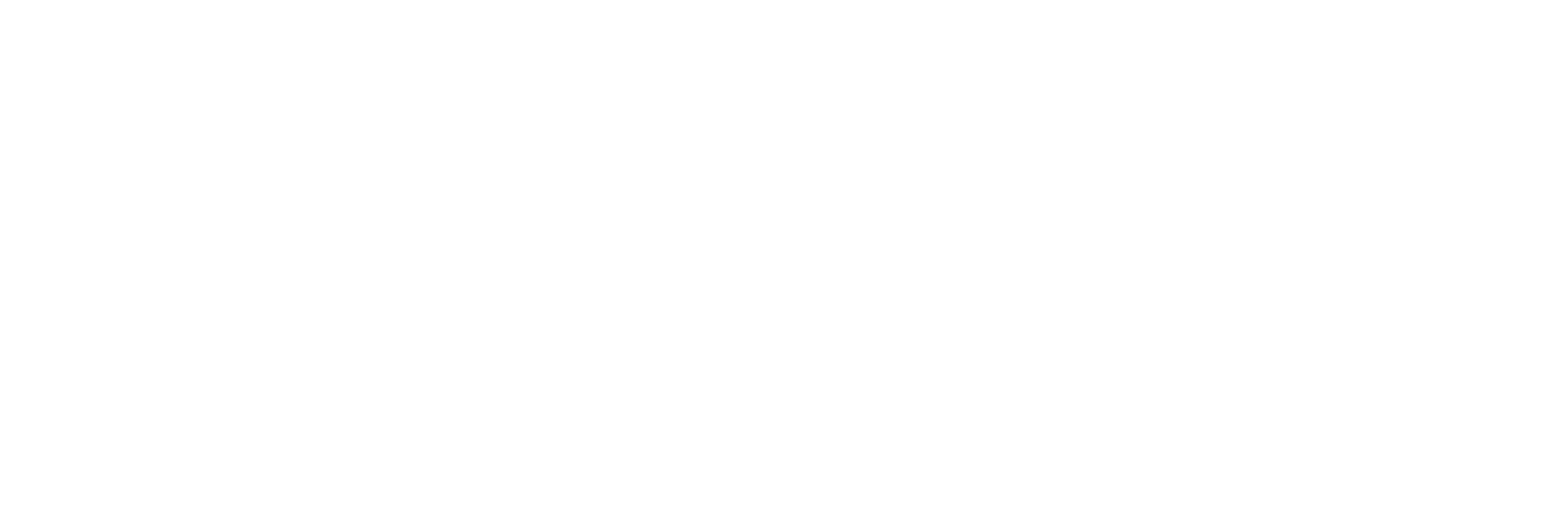 pushleader普氏乐道logo