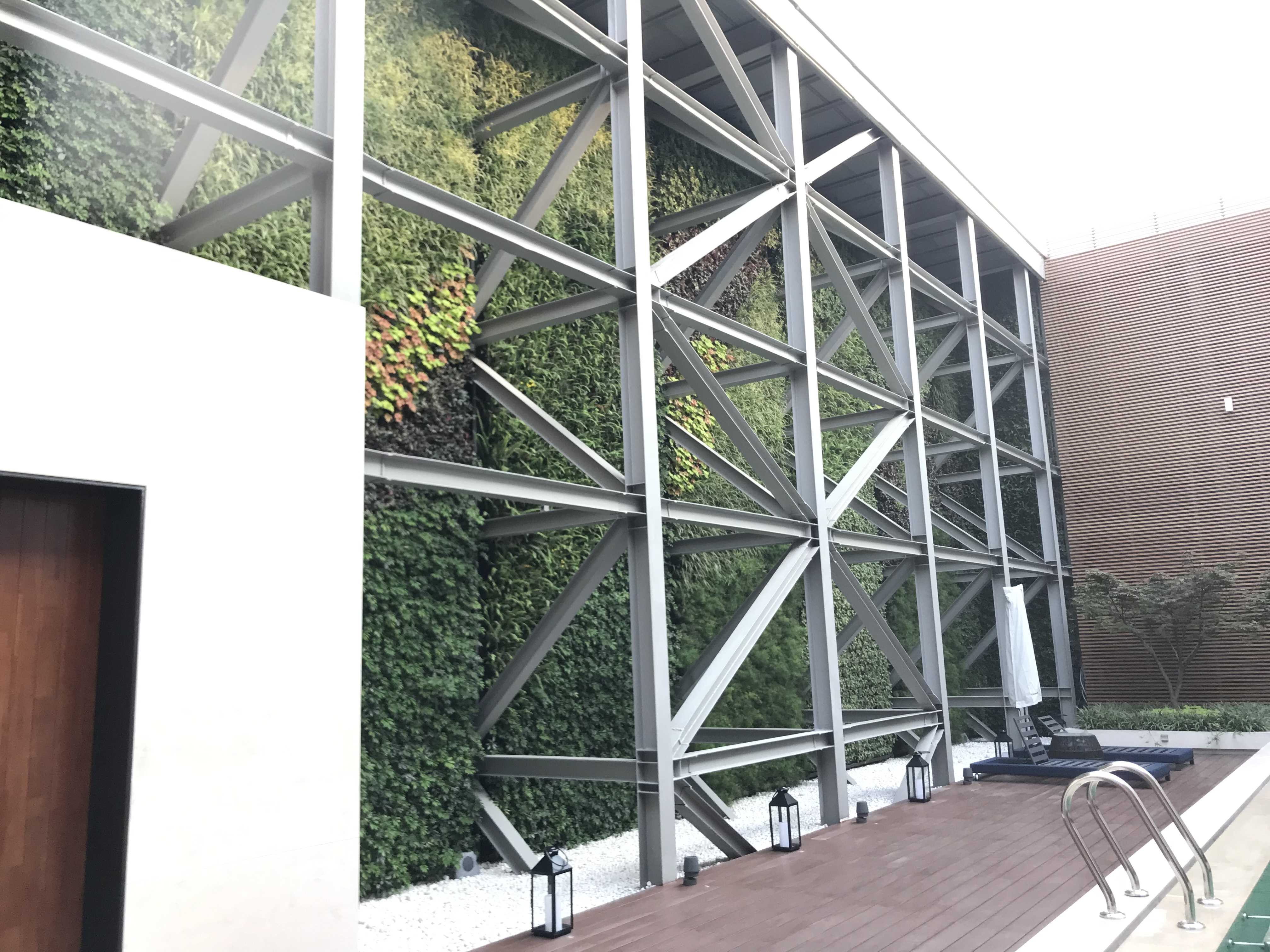 IFC屋顶植物墙2