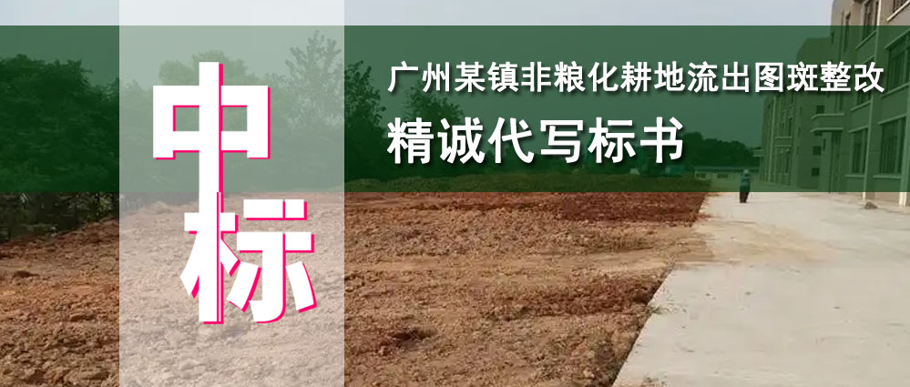 广州某镇非粮化耕地流出图斑整改项目