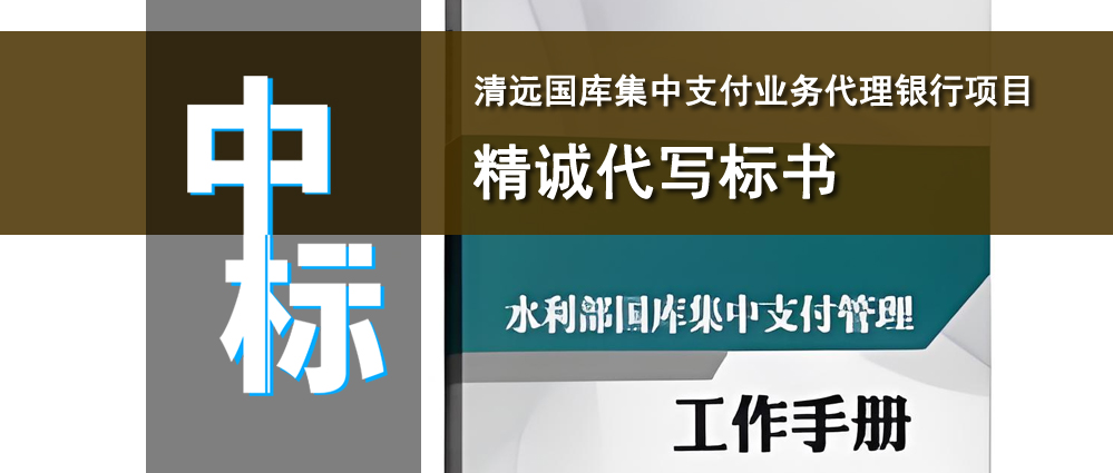 清远国库集中支付业务代理银行项目