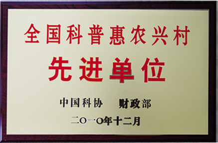 奖牌副本2