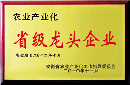 奖牌副本4