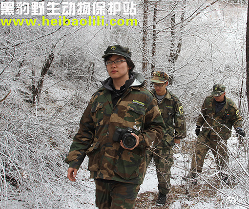 黑豹行踪