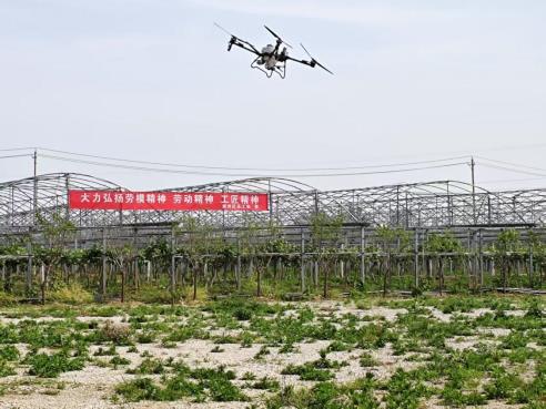 微信图片_20250416140222