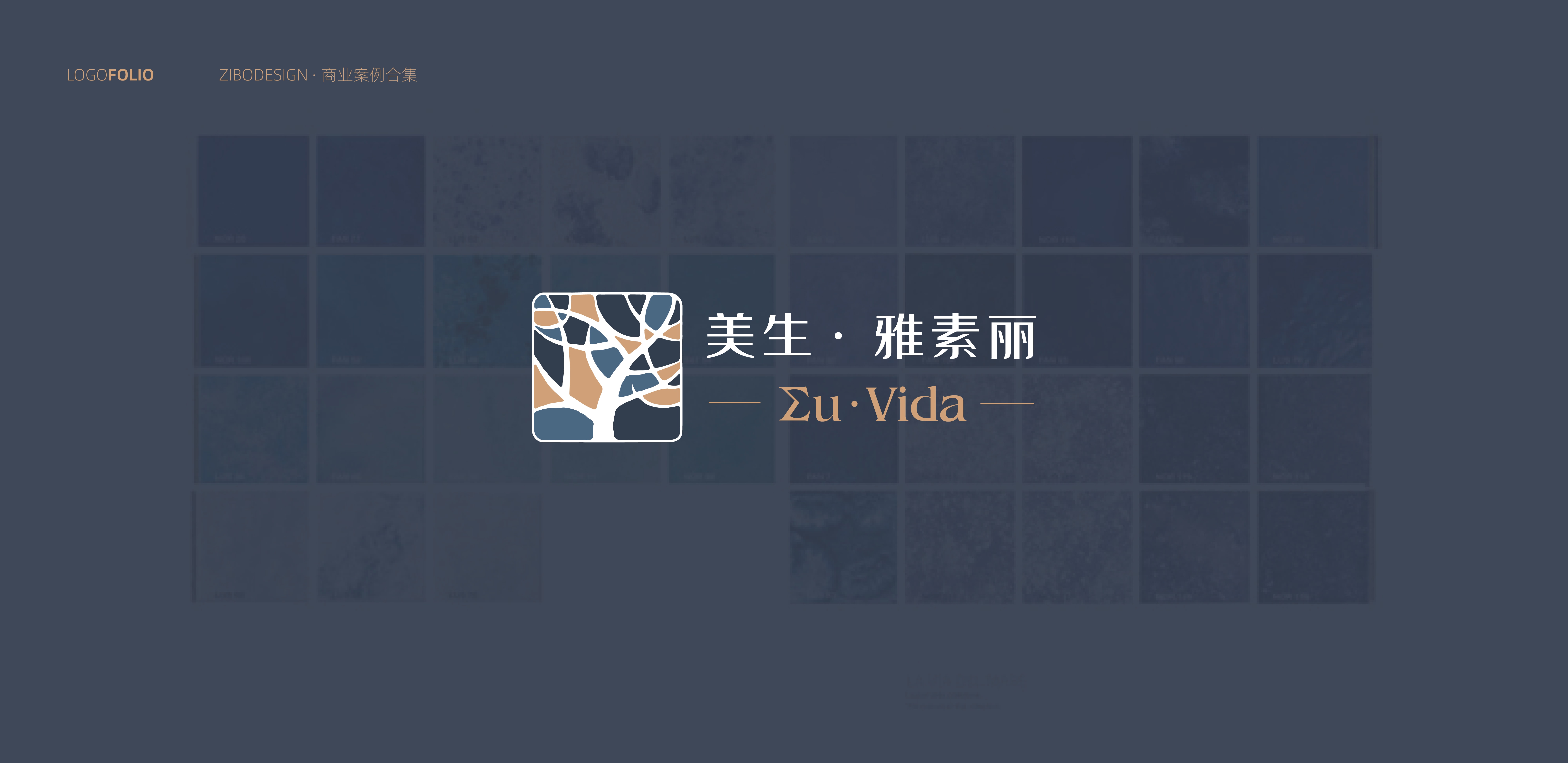 美生雅素丽logo设计