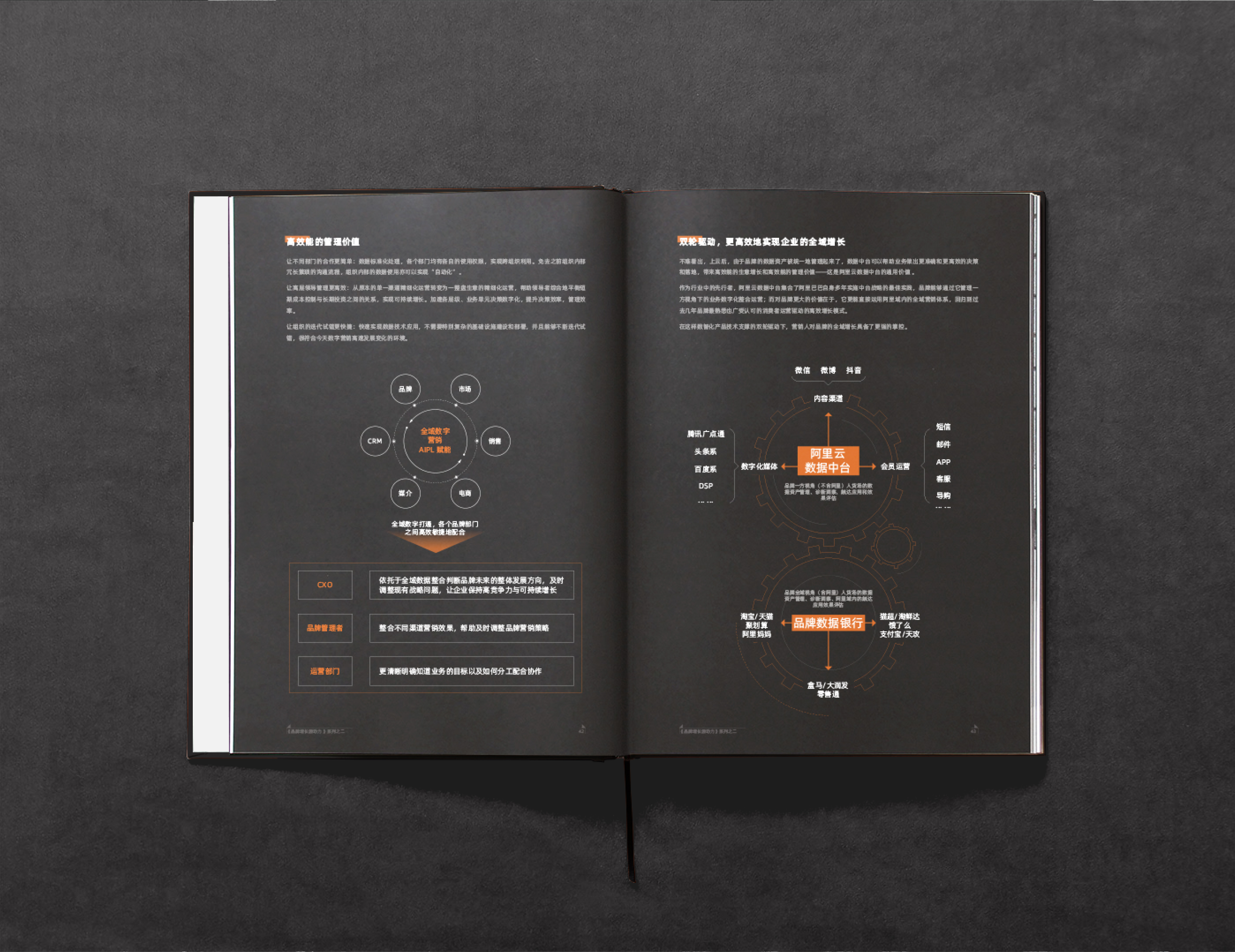阿里云全域营销书籍设计