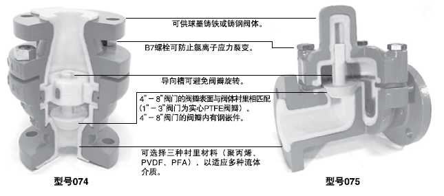 LCV10
