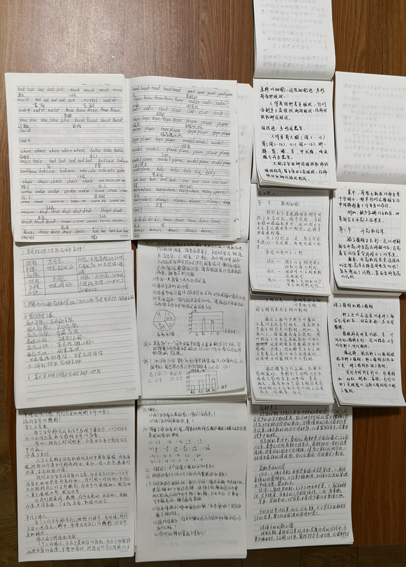 抄写作业内页