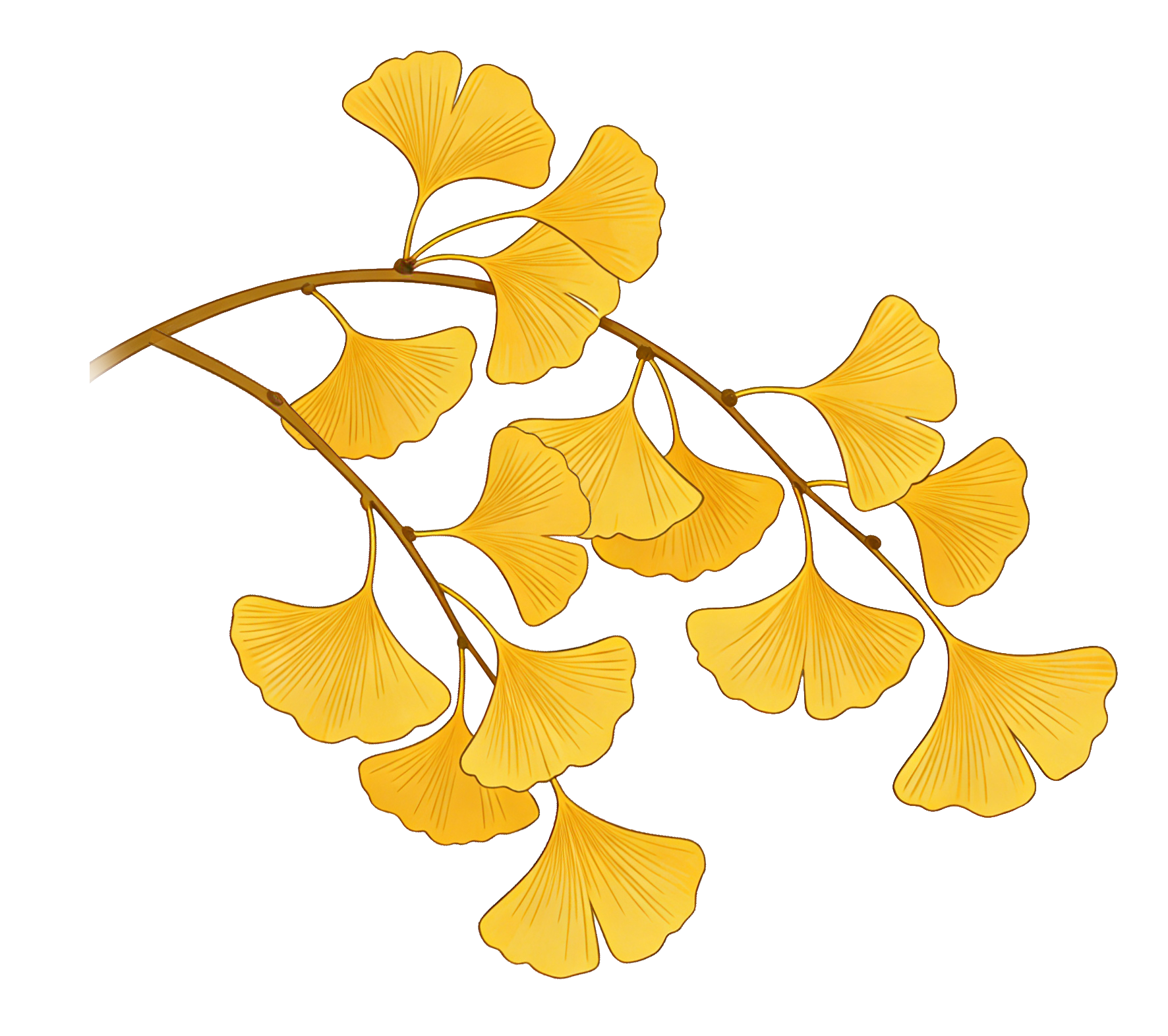 893263ead466470ab7fcdcd3478bc757