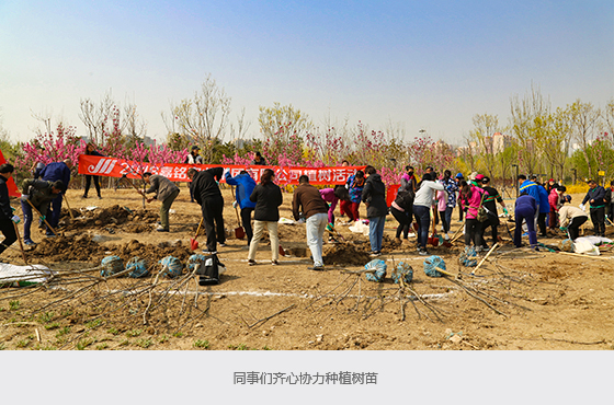 植树2