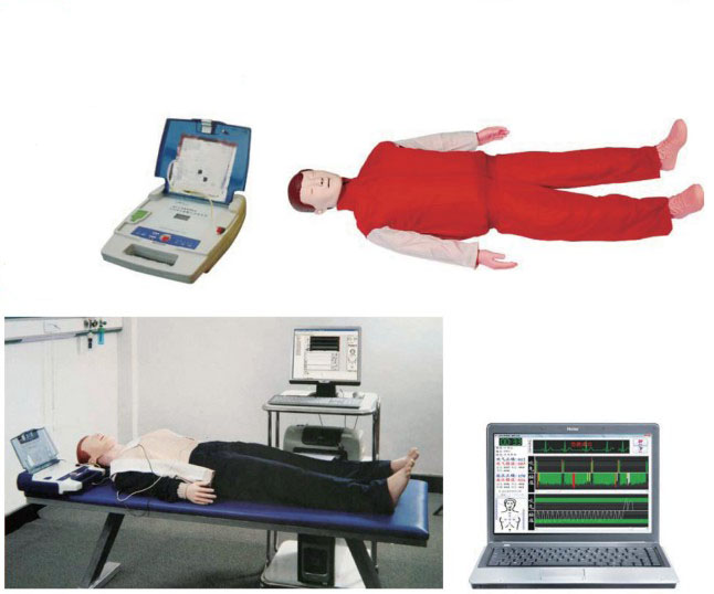 ZG-CPR700高级心肺复苏、AED除颤模拟人、触电模拟人