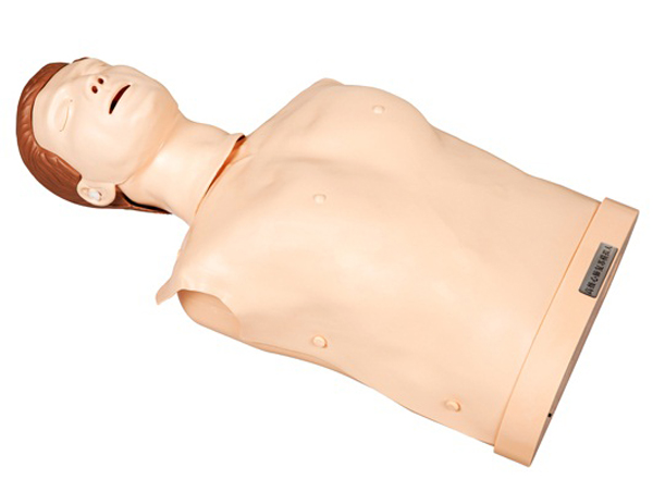 ZG-CPR100A半身心肺复苏训练模拟人-简易型、安全用电培训模型