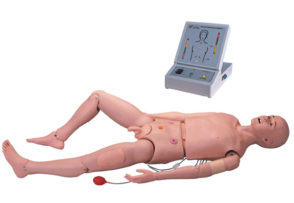 ZG-3000高级成人护理及CPR模型人、护理模拟人
