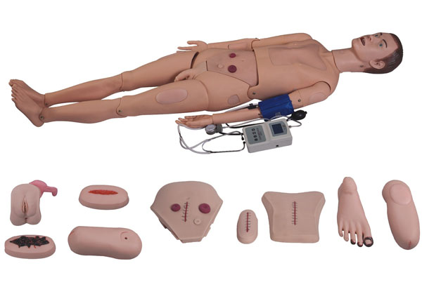 ZG-2300全功能护理人模型-带血压测量、全功能护理模型
