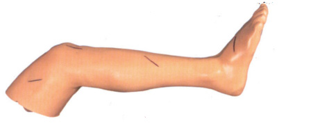 ZG-LV2高级外科缝合下肢模型｜缝合模型