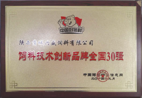 zizhi1