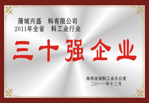 zizhi5