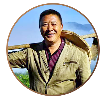 圆