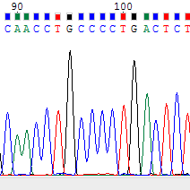 SangerSeq