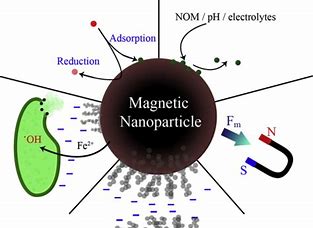 Nanoparticles