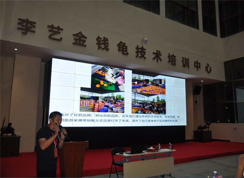 广西柑桔行业协会副会长熊昆仑分享种植柑桔经验