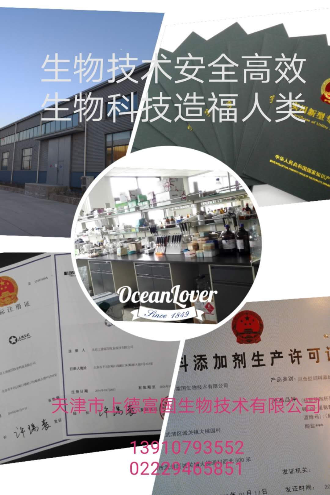 公司材料和专利