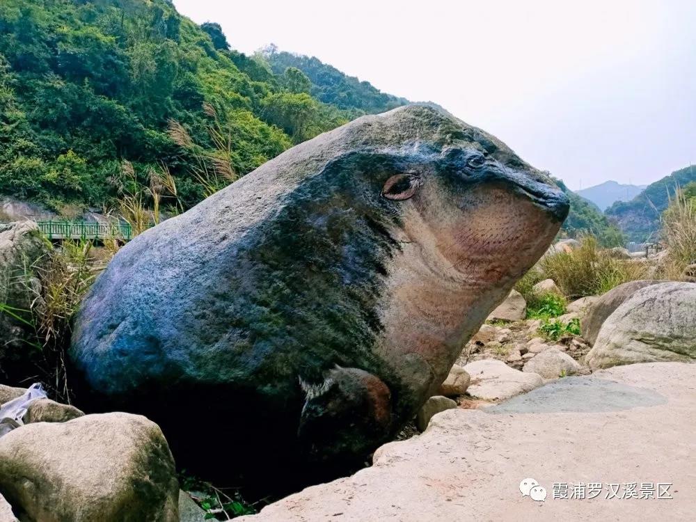 霞浦罗汉溪景区