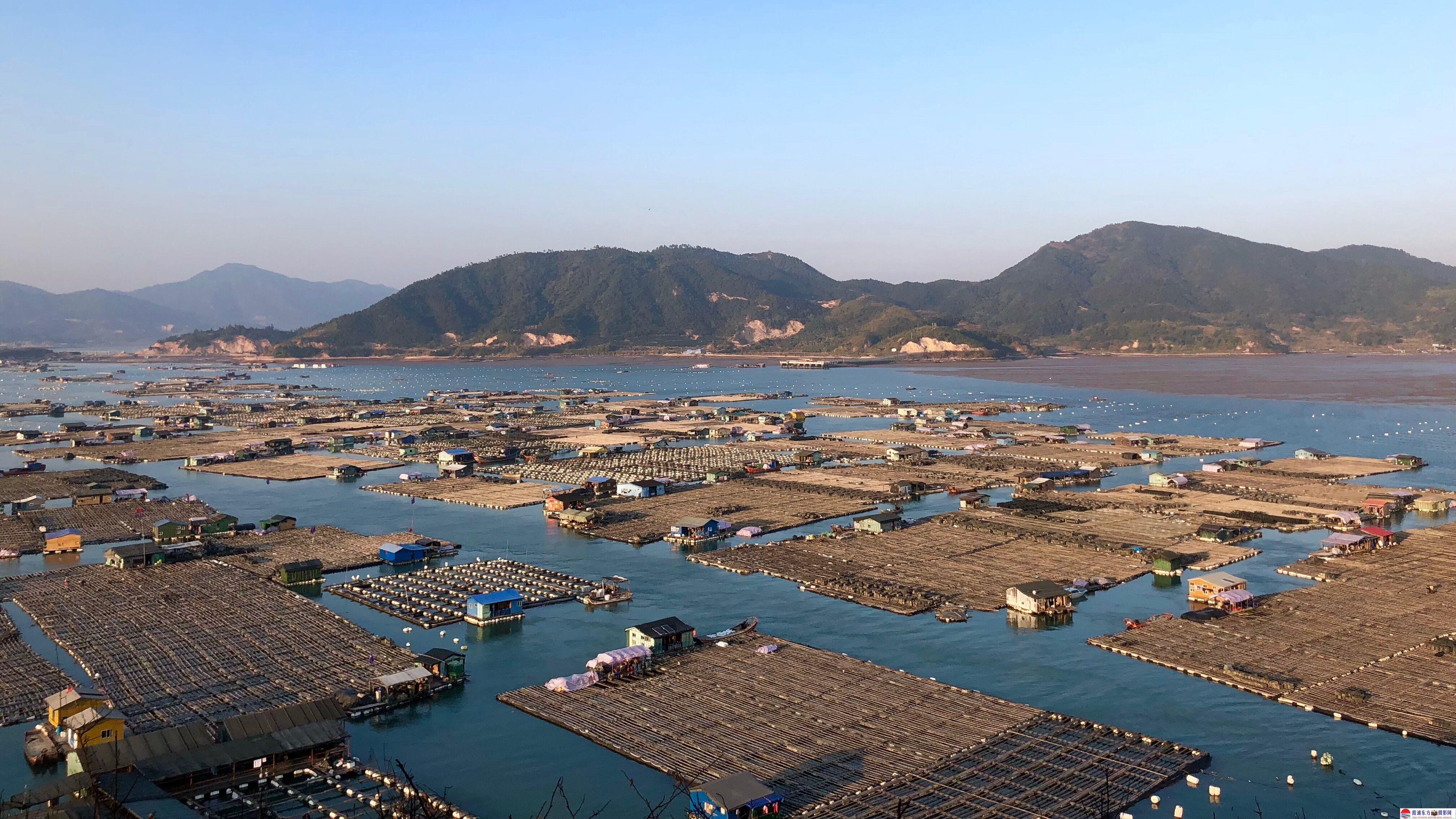 东安岛地处霞浦县中部的东吾洋, 为三都港内一个狭口胃港湾.