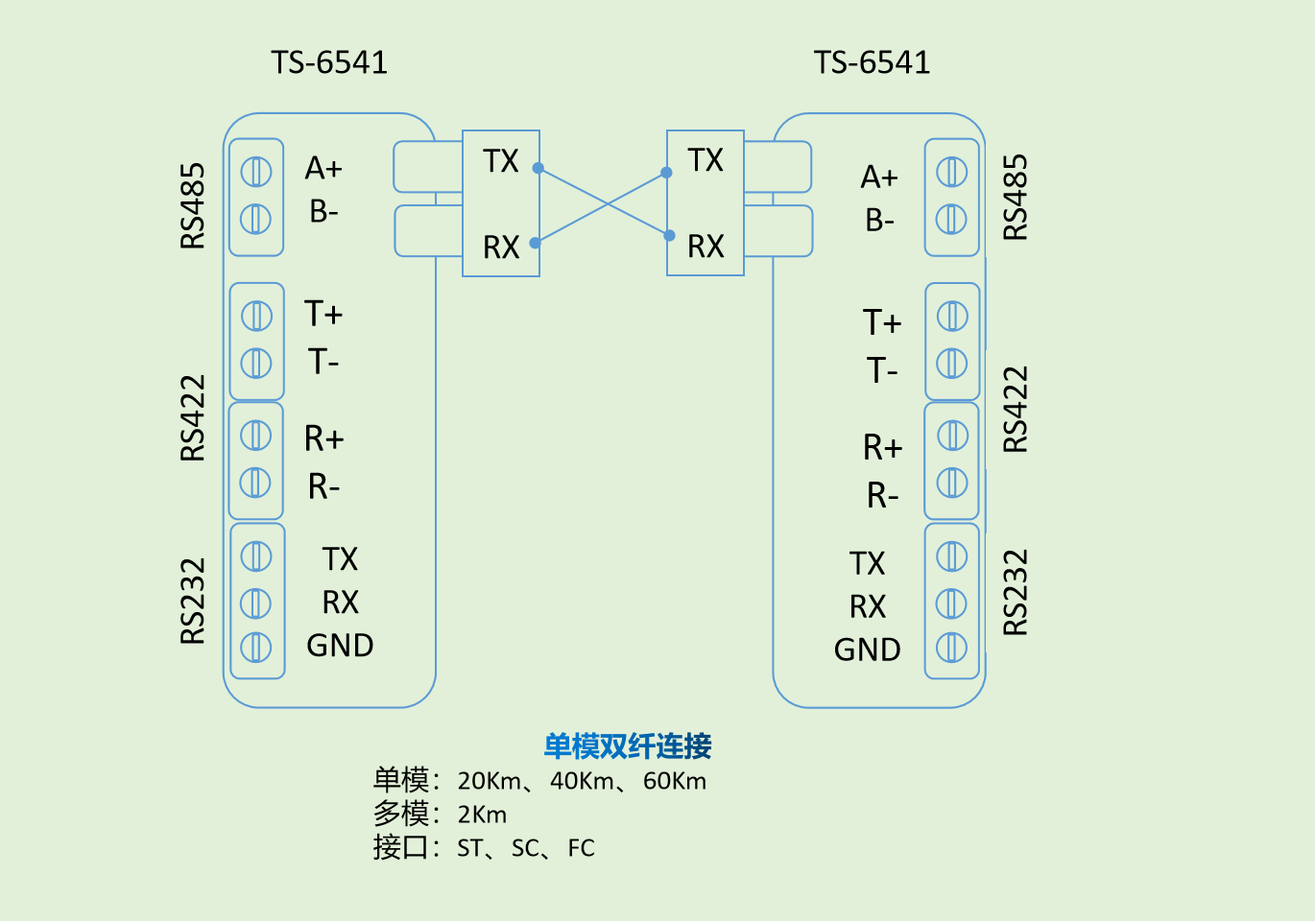 65411004