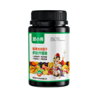 朋小将