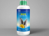 未标题-2