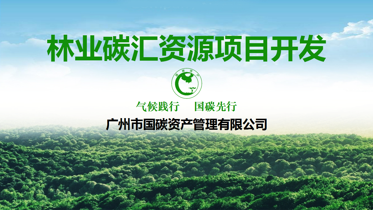 广州市国碳资产管理有限公司