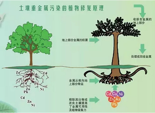 图片8_副本