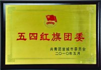 2009年度五四红旗团委-宣城
