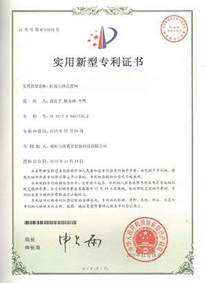 抗强力撞击摆闸