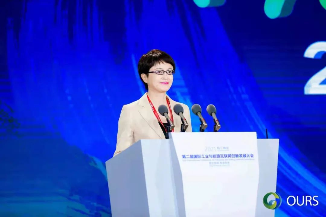 国家能源局刘亚芳：数字化是支撑我国能源绿色低碳转型的重要手段